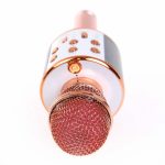 vyrp12_971ws-858-karaoke-mikrofon-1
