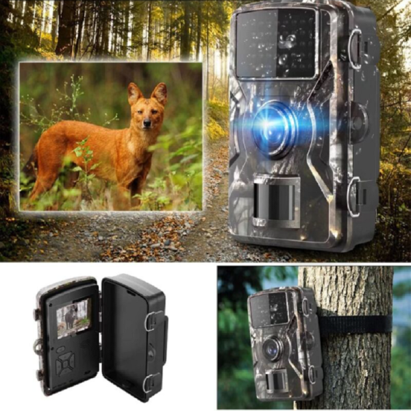 BR9 vezeték nélküli vadkamera – színes CMOS érzéklelő, vízálló / PIR  szenzoros, figyeld az állatokat elriasztás nélkül (BR9-DL001) (BBV) –  InterSale webáruház