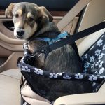 Kényelmes és biztonságos autós kutyahordozó – tappancs mintás (BB15373) 2