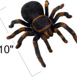 Hatalmas-taviranyitos-tarantula-3