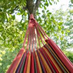 Close-up color travel hammock for relaxing in the trees. A colorful empty hammock between two trees, one side tied to a tree. Summer camping. Outdoors and adventure concept.