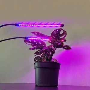 Flexibilis csíptethető-, és állítható 2 karos LED növénynevelő lámpa - 3 világítási móddal, 9 állítható fényerősséggel (BBM) (ST) - Image 7