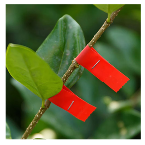 20 db-os kötözőszalag szett kerti kötözőgéphez piros színben - 1,2 cm  (BBL) - Image 2